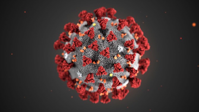 Coronavirus azienda