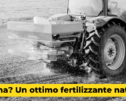 urina come fertilizzante naturale